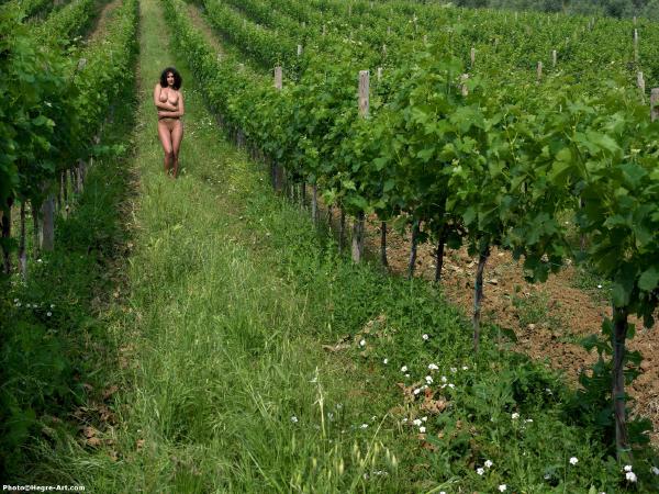 Jennipher in the wine fields #11